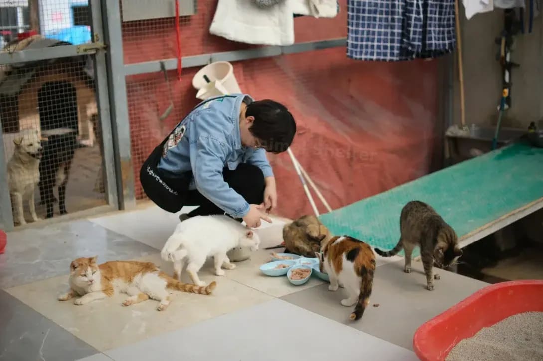 Maple Haven Animal Shelter 4